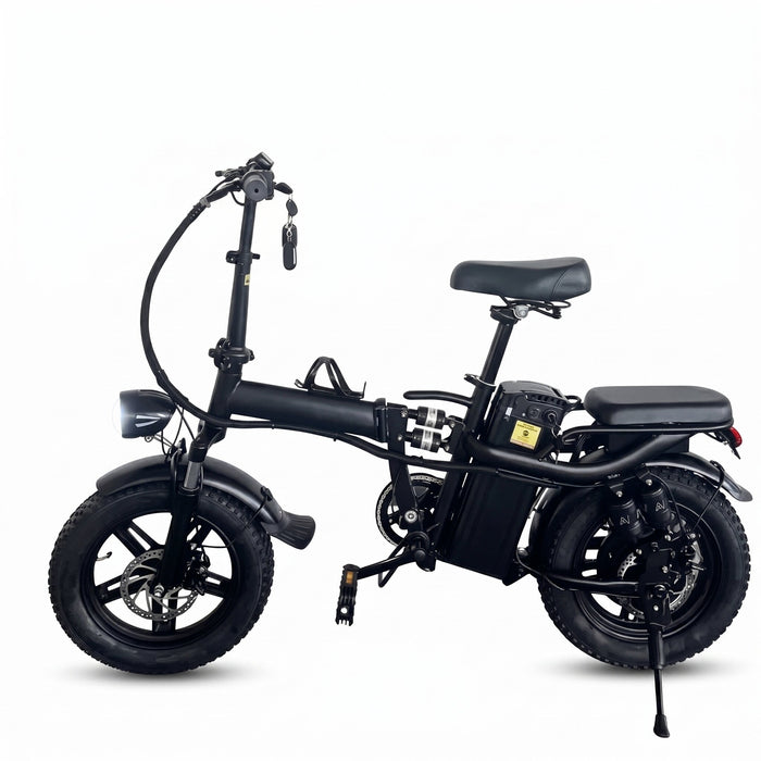 800W Folding Electric Bike | 48V 30Ah Compact E-Bike
